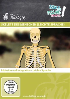 Schulfilm Skelett des Menschen (leichte Sprache) downloaden oder streamen