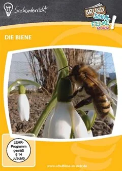 Schulfilm Die Biene downloaden oder streamen