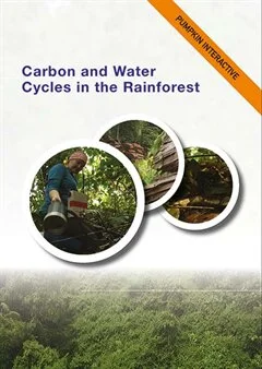 Schulfilm Carbon and Water Cycles in Tropical Rainforests - Reihe: Geography downloaden oder streamen