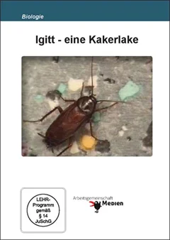Schulfilm Igitt - eine Kakerlake downloaden oder streamen