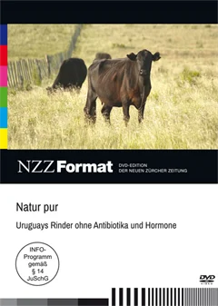 Schulfilm Natur pur - Uruguays Rinder ohne Antibiotika und Hormone downloaden oder streamen