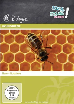 Schulfilm Honigbiene downloaden oder streamen