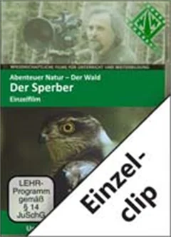 Schulfilm Abenteuer Natur ‒ Der Wald - Einzelclip: Am Sperberhorst downloaden oder streamen