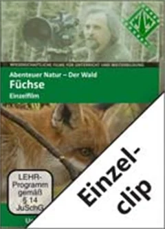 Schulfilm Abenteuer Natur ‒ Der Wald - Einzelclip: Der Fuchs downloaden oder streamen