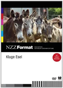 Schulfilm Kluge Esel - NZZ Format downloaden oder streamen