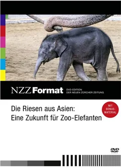 Schulfilm Die Riesen aus Asien: Eine Zukunft für Zoo-Elefanten - NZZ-Format downloaden oder streamen