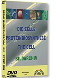 Schulfilm Die Zelle und Proteinbiosynthese downloaden oder streamen