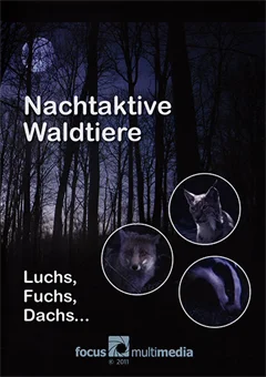Schulfilm Nachtaktive Waldtiere - Luchs, Fuchs, Dachs... downloaden oder streamen