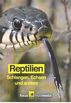 Schulfilm Reptilien - Schlangen, Echsen und andere downloaden oder streamen