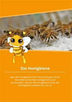 Schulfilm Die Honigbiene downloaden oder streamen