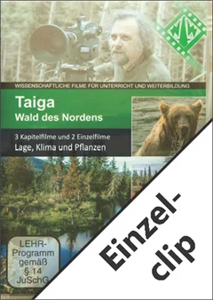 Schulfilm Taiga - Wald des Nordens - Einzelclip: Lage, Klima und Pflanzen der Taiga downloaden oder streamen