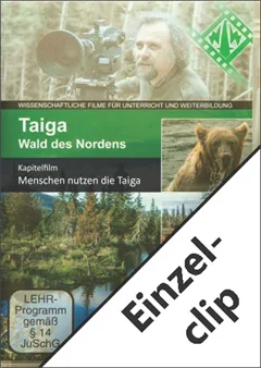 Schulfilm Taiga - Wald des Nordens - Einzelclip: Menschen nutzen die Taiga downloaden oder streamen