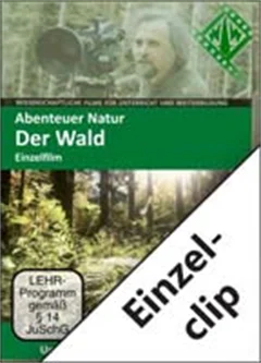 Schulfilm Abenteuer Natur ‒ Der Wald - Einzelclip downloaden oder streamen